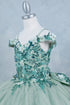 Girls 3D Beaded Applique A-line Off Shoulder Ball Gown 2-16